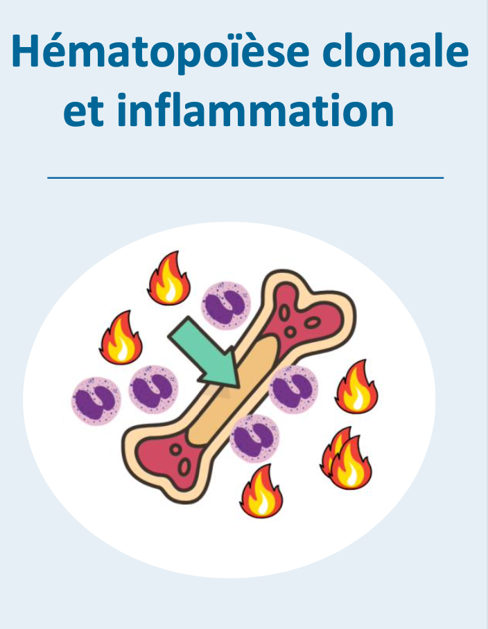 Hematopoiese clonale
